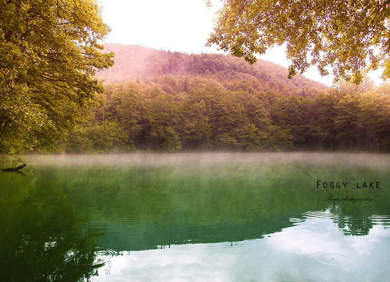 Foggy lake by Sašo Š.