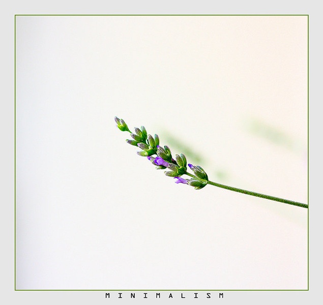 M i n i m a l i s m by Sašo Š.