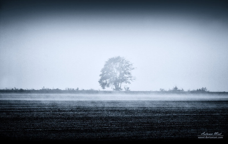 Autumn mist by Sašo Š.
