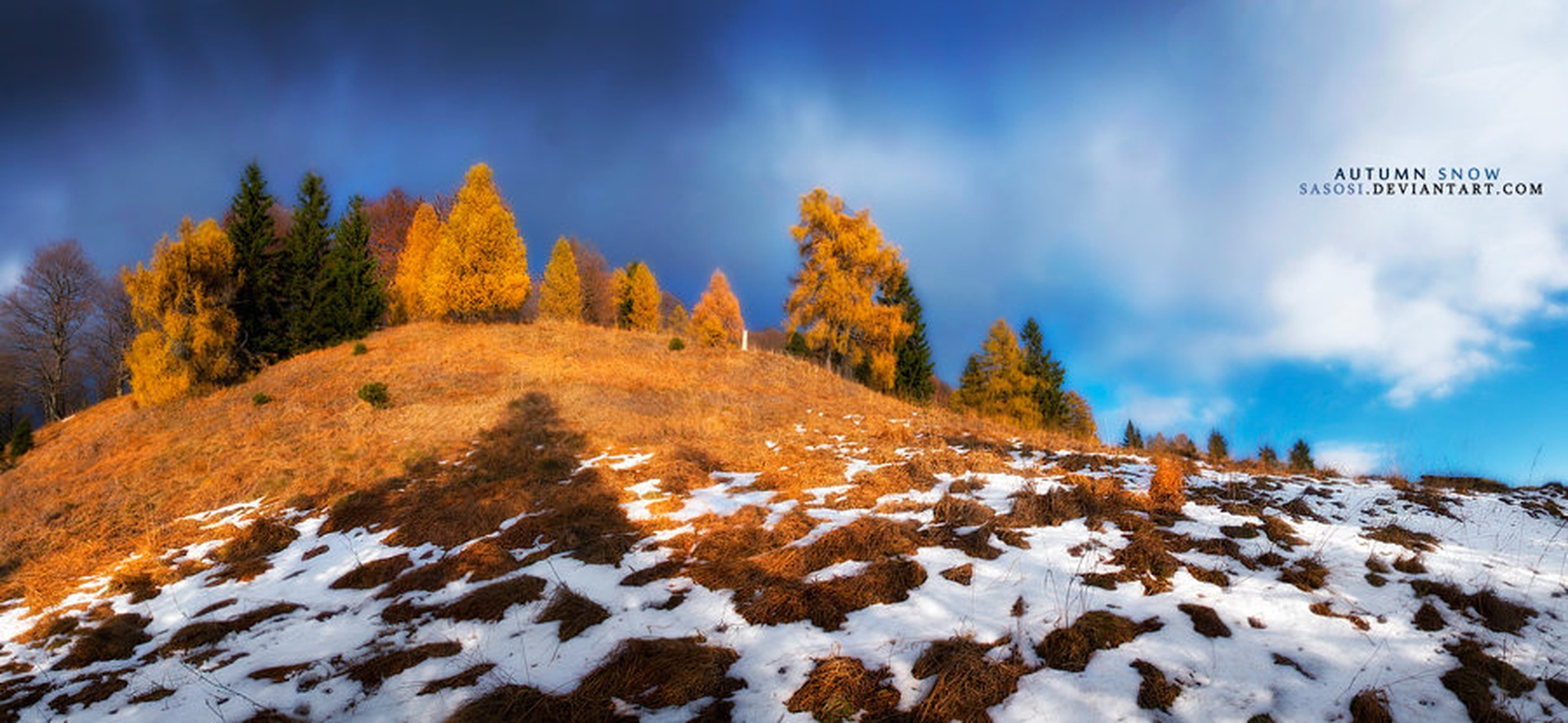 Autumn snow by Sašo Š.