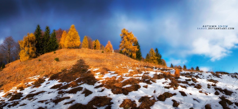 Autumn snow by Sašo Š.