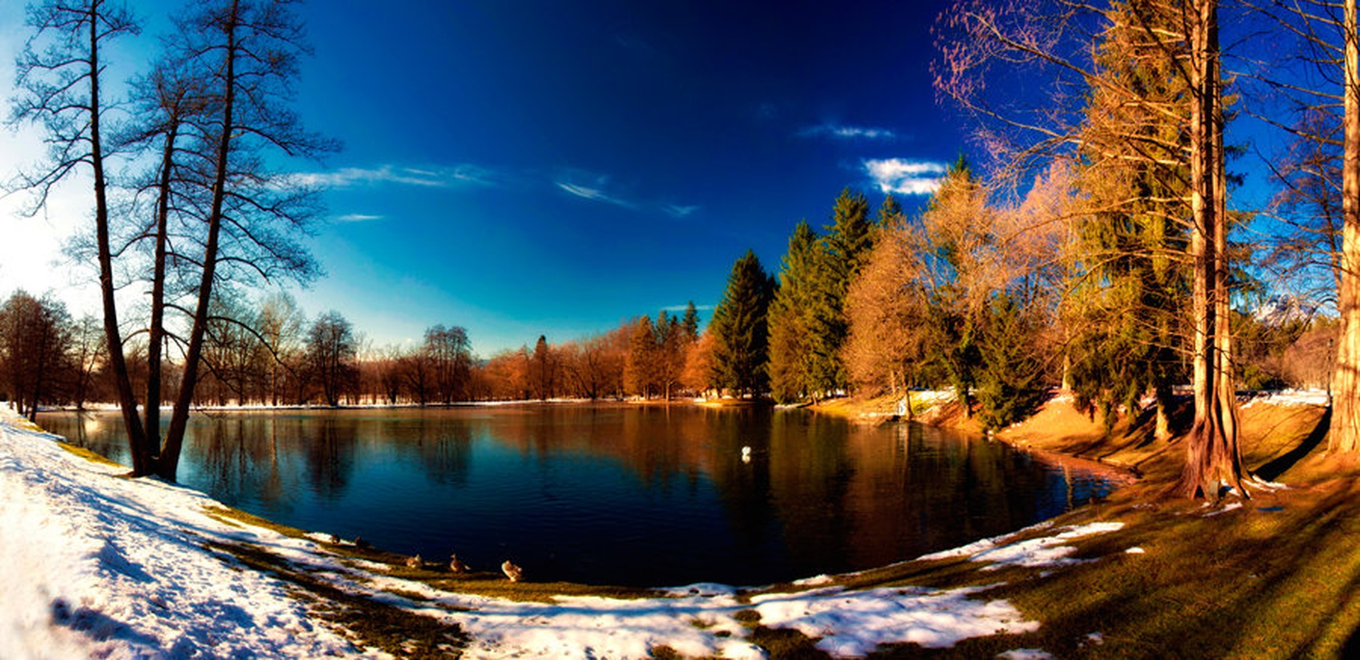 Winter lake by Sašo Š.