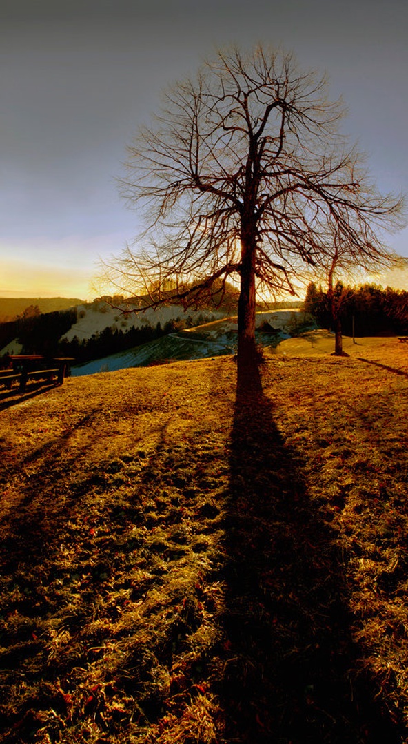 Dolge sence by Sašo Š.