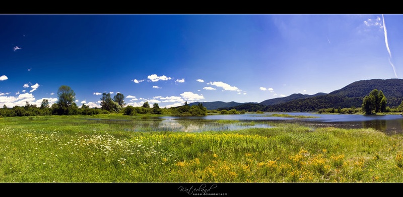 Waterland by Sašo Š.