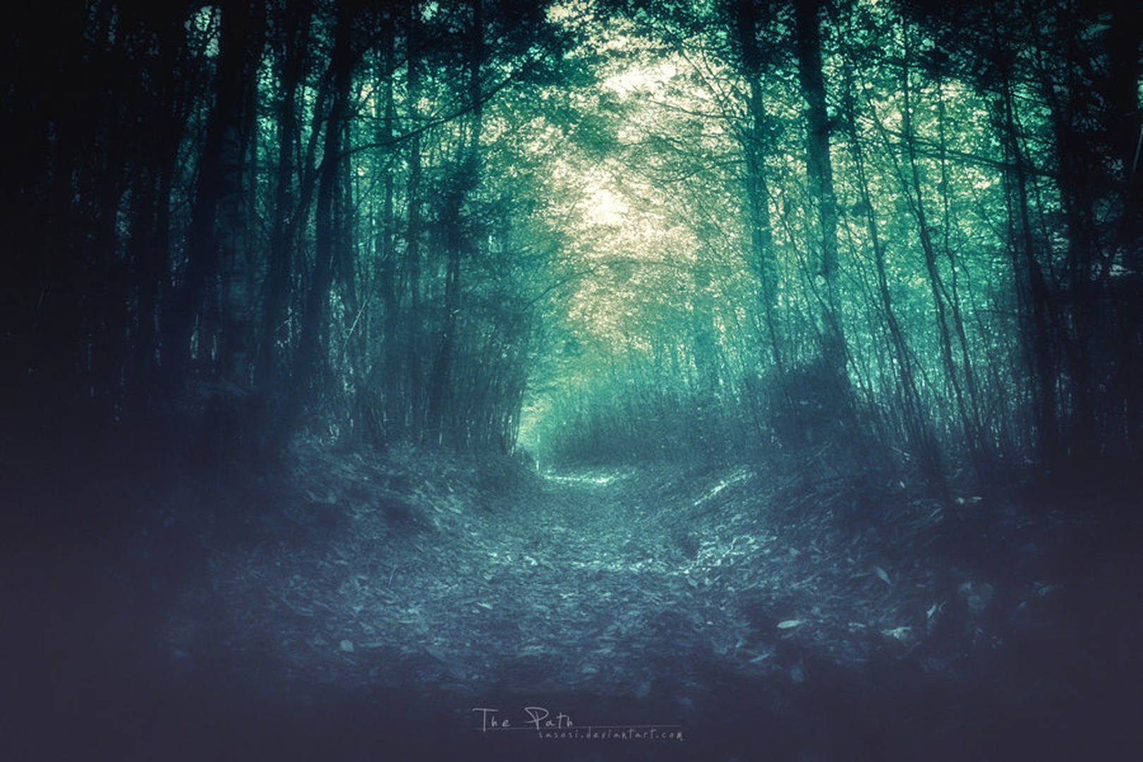The Path by Sašo Š.