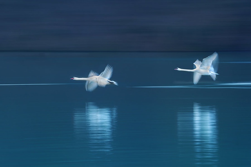 Prelet v jutro by Janez Tolar