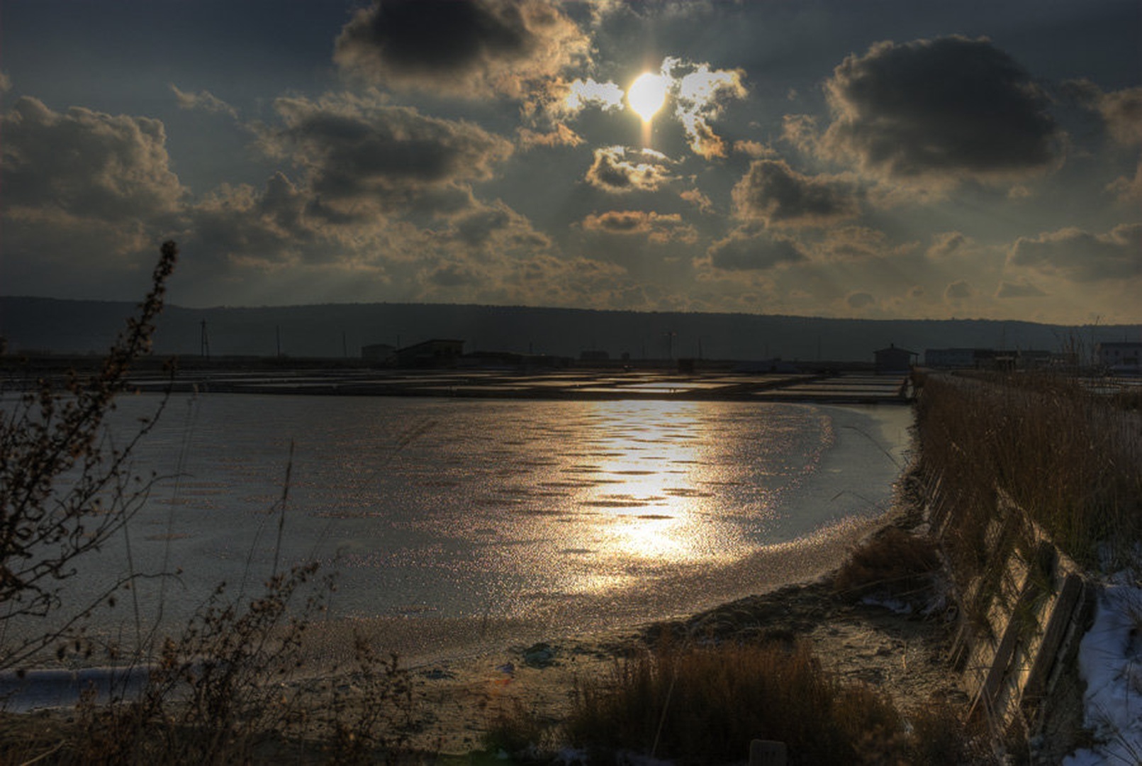 Soline by
