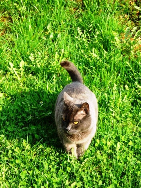 moj mucii by SunnyGirl