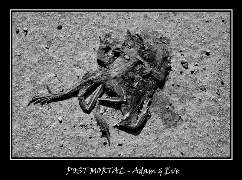 Post Mortal - Adam&Eve by Dejan Sotirov