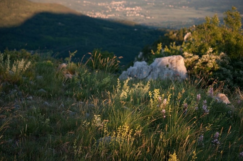Zadnja svetloba by Gregor