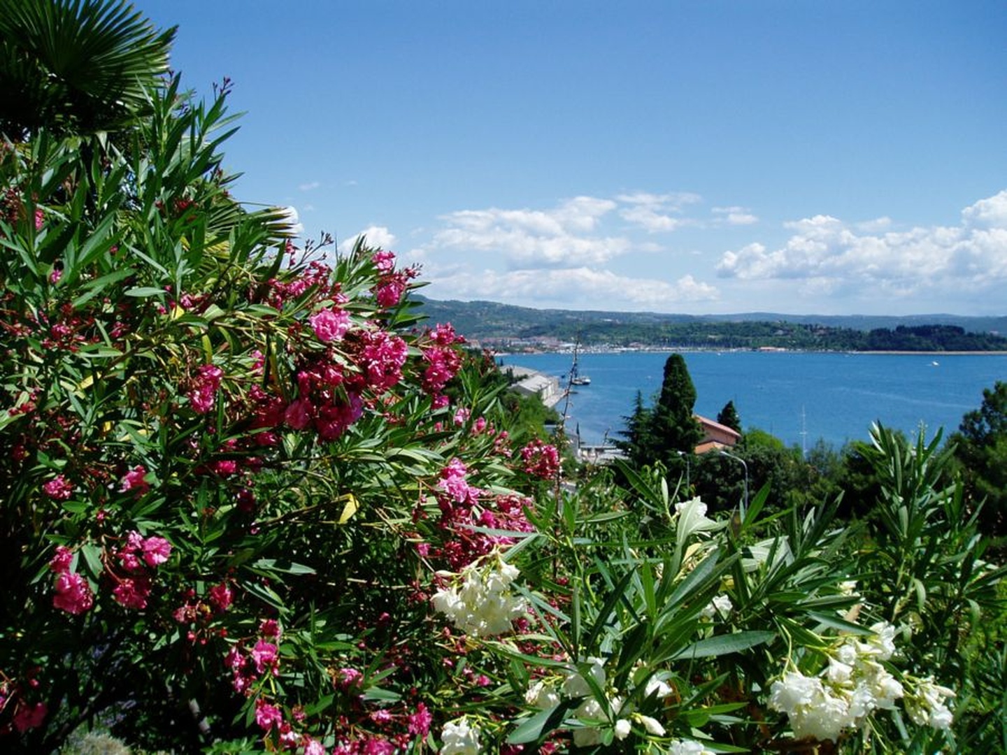 Portorož by renata