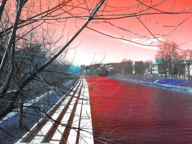the river of bloode by renata