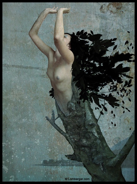 The Transformation Of Daphne by Domen Lombergar