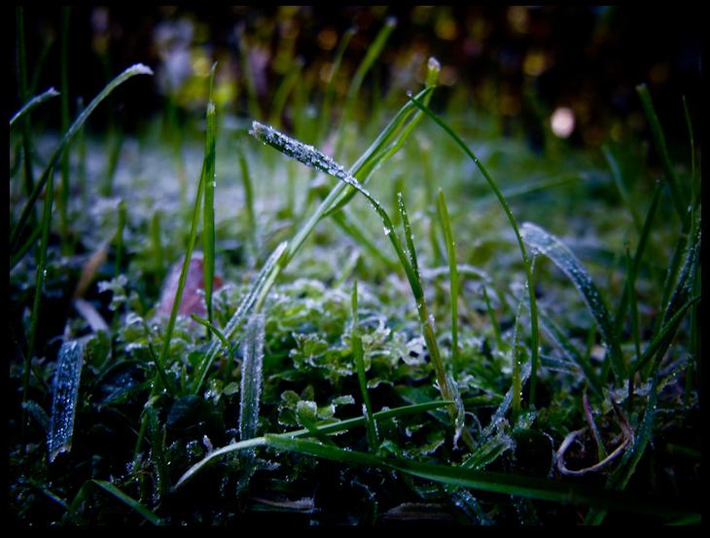 jutro by Nika b