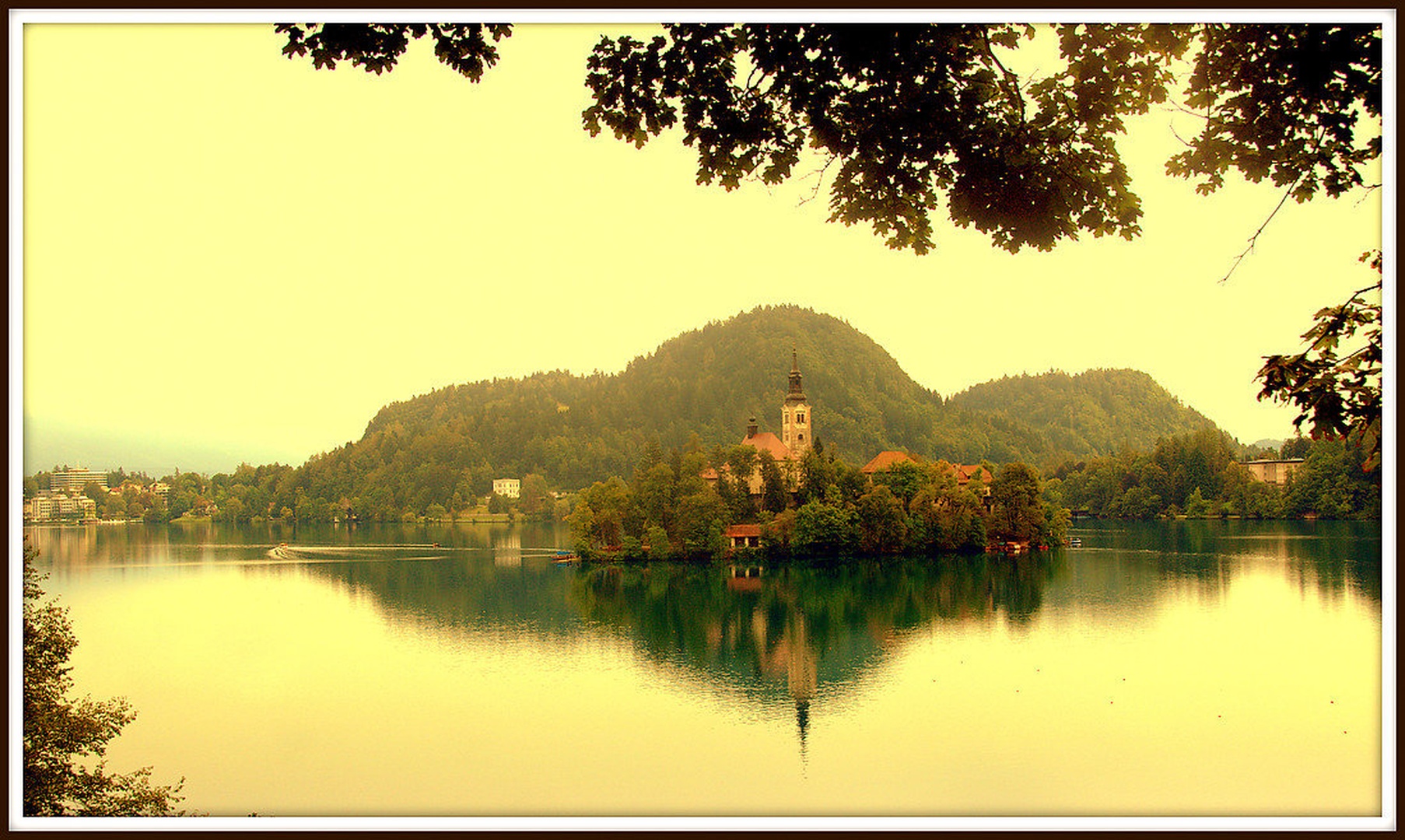 Bled by fotorogi