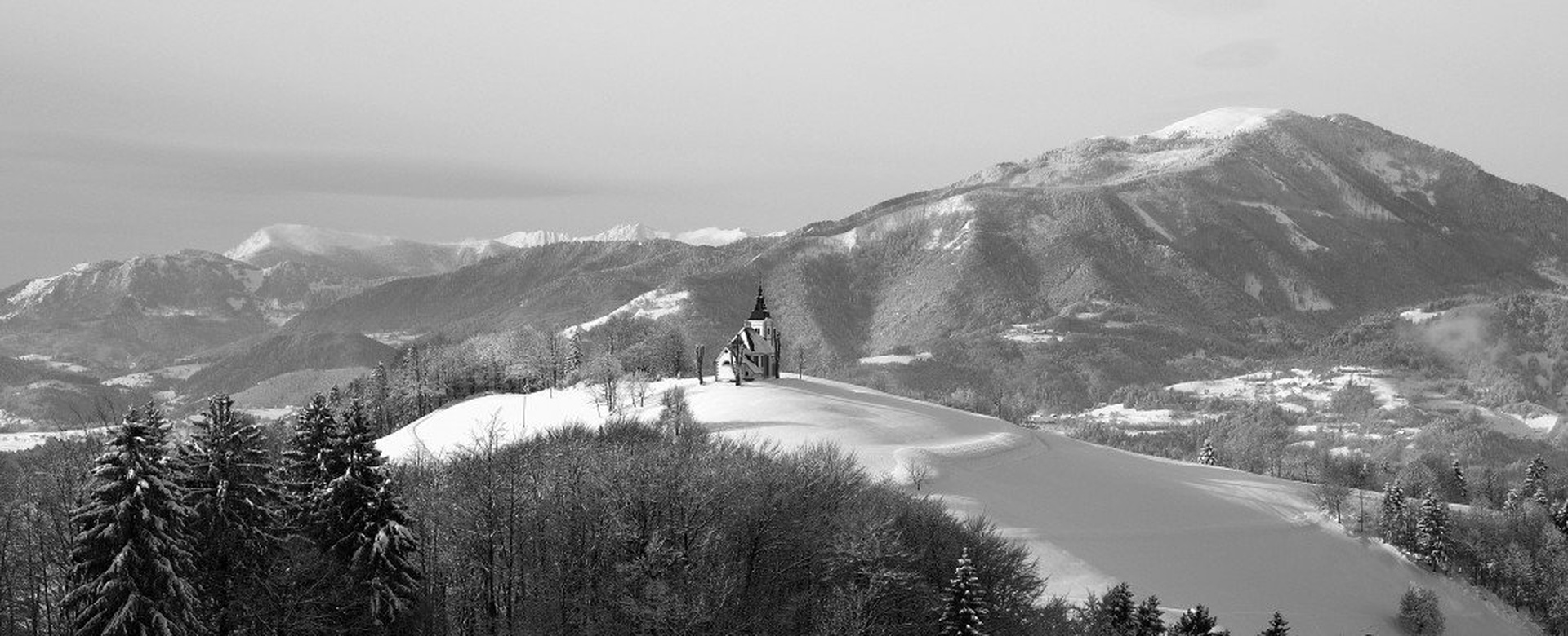 Bukov vrh z blegoško plešo v ozadju by fotorogi