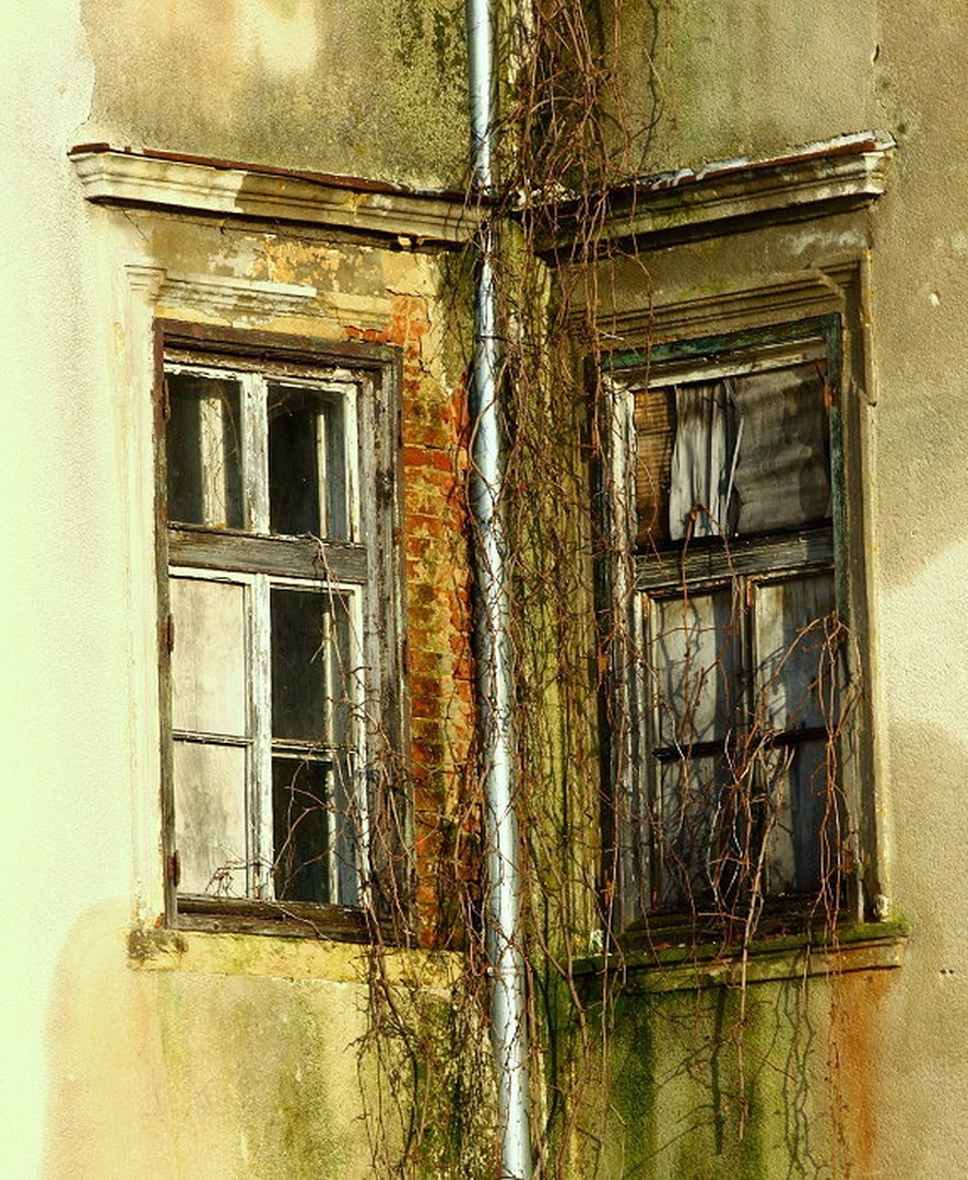 Window/s by march