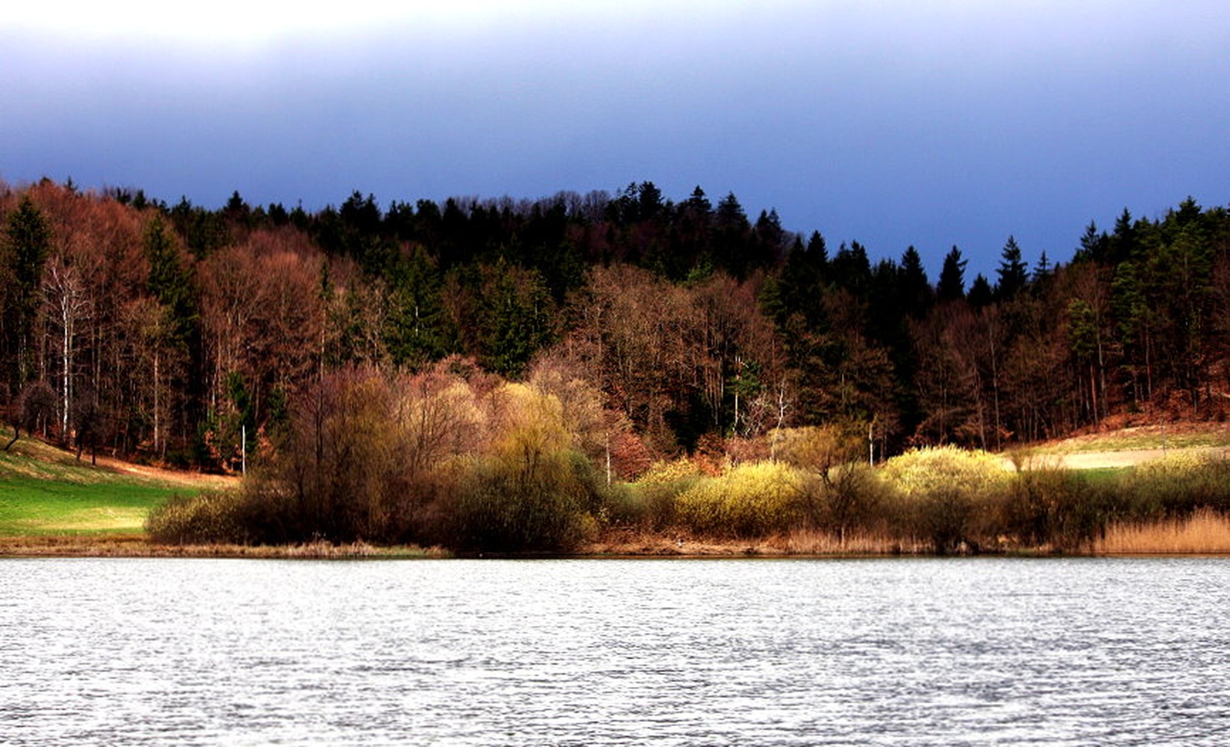 SPRING COLORS by march