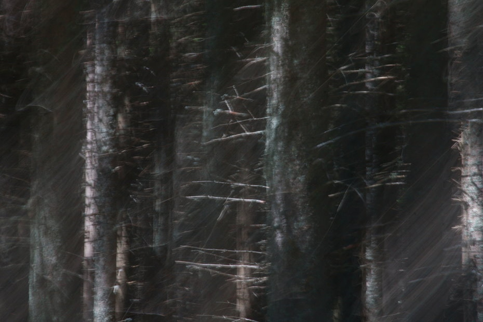 Ghosts of our ancestors by march