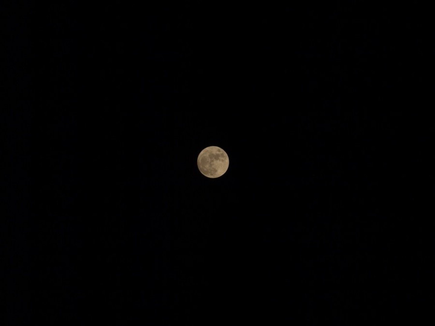 Luna by trigga