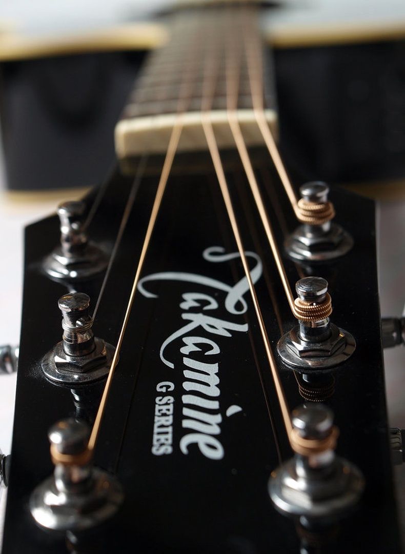Takamine G series by trigga