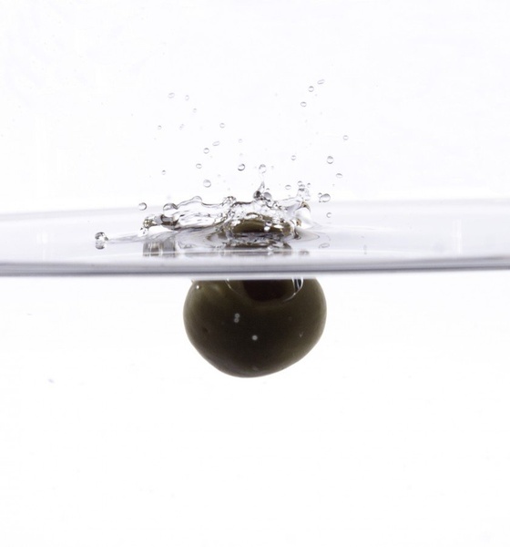 Oliva splash by trigga