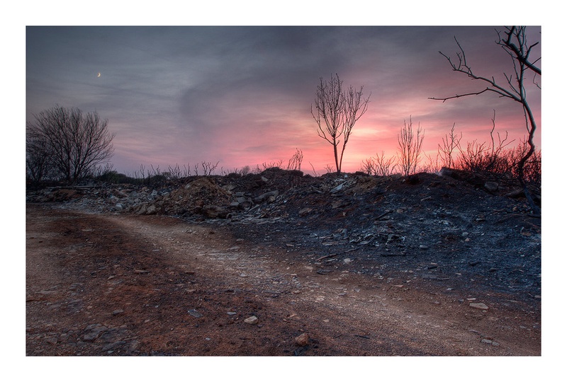 Wasteland by Marek Gerthofer