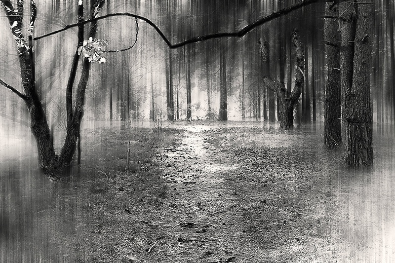 Dreamy Forest... by Marek Gerthofer