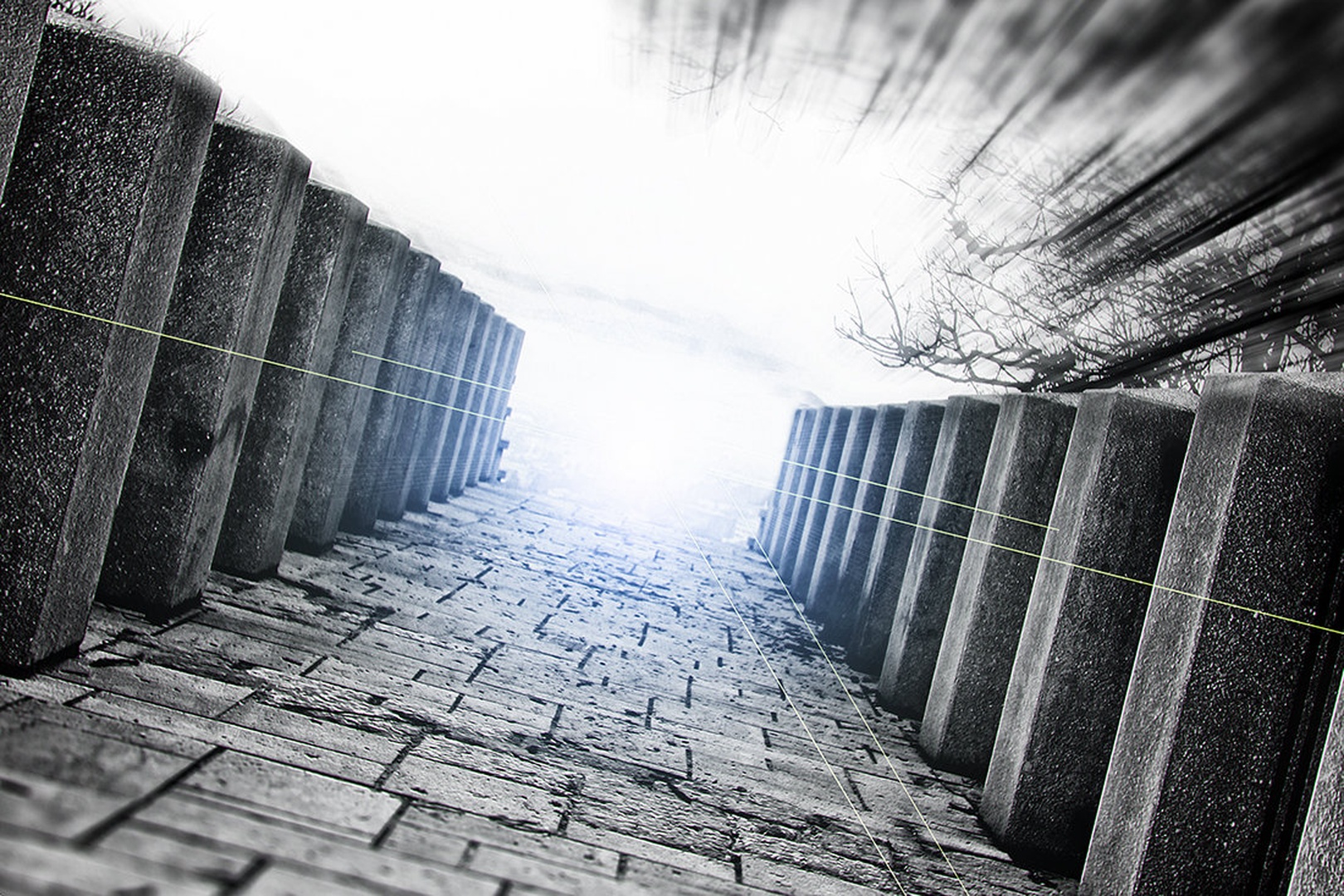 Enter the Matrix by Marek Gerthofer