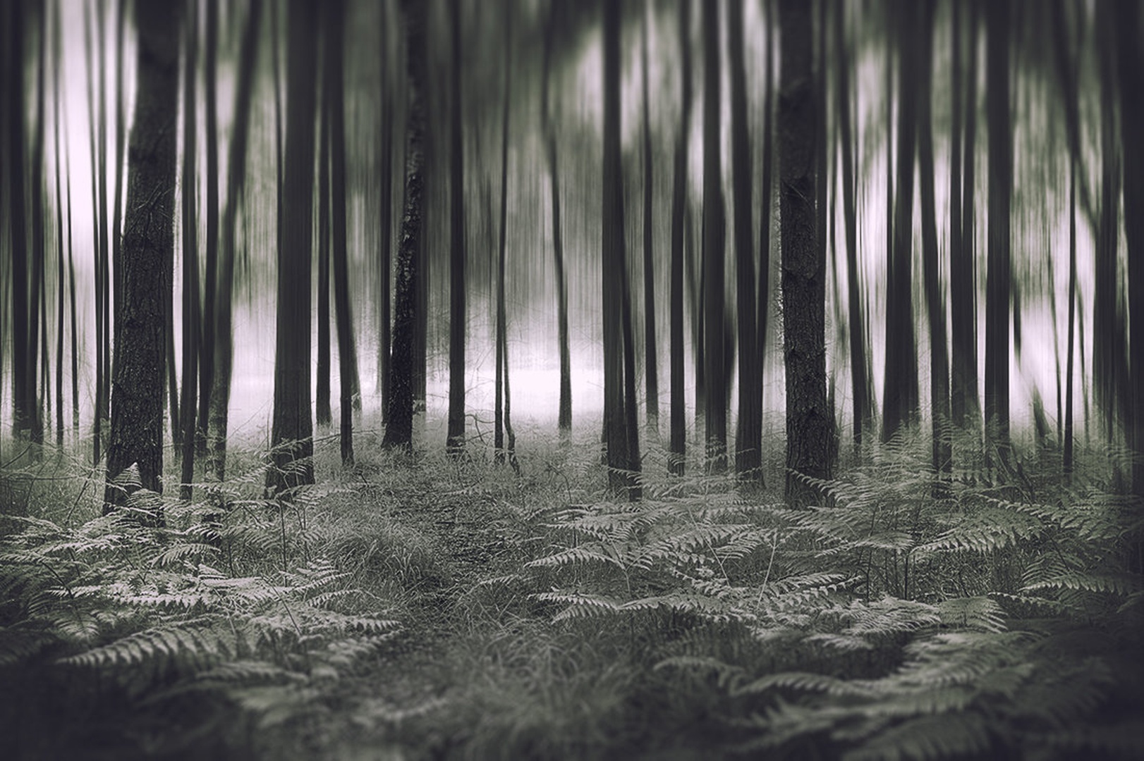 Dreaming by Marek Gerthofer