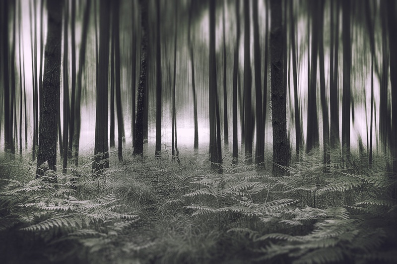 Dreaming by Marek Gerthofer