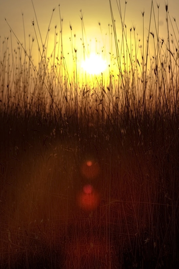 Different sunset by Marek Gerthofer