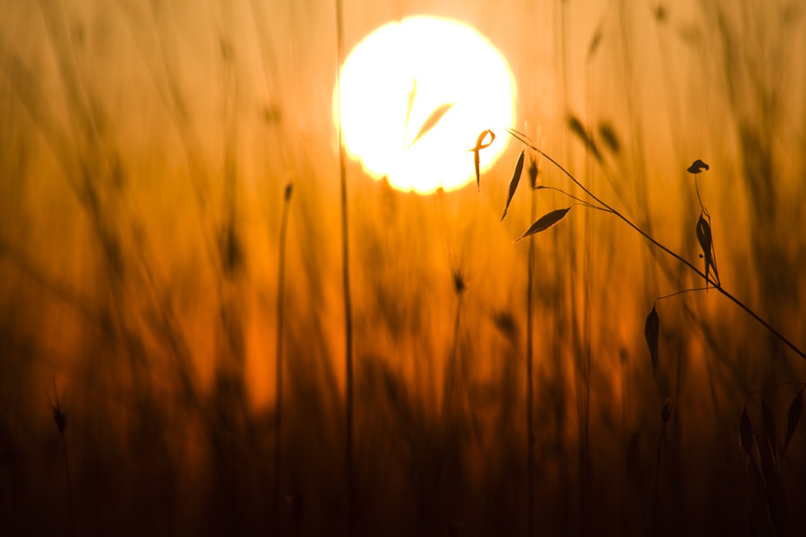 Sunset by Marek Gerthofer