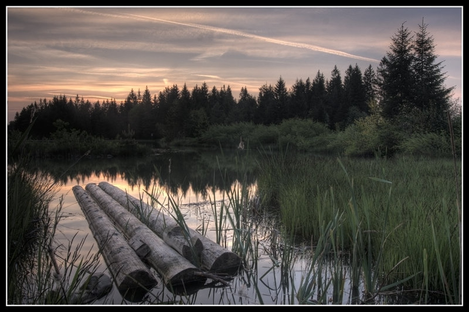Logs by Marek Gerthofer