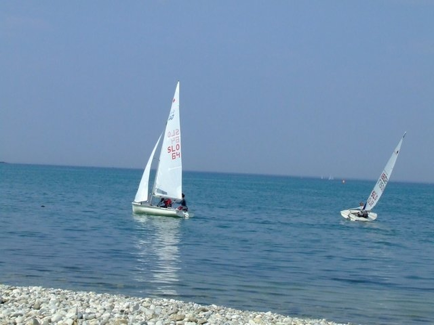 Regata by Irena