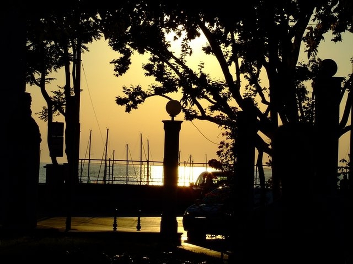 ... by Irena