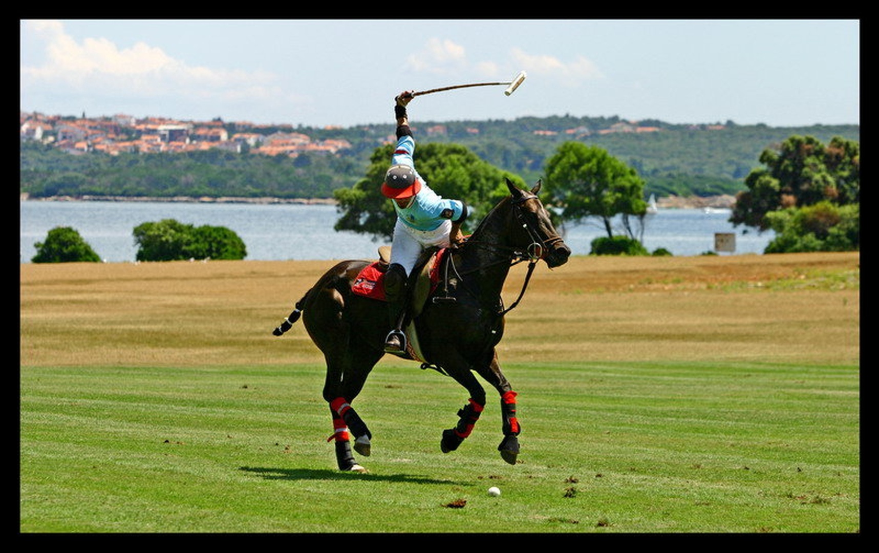 Polo by