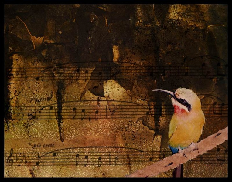 The music of the heart by squascha