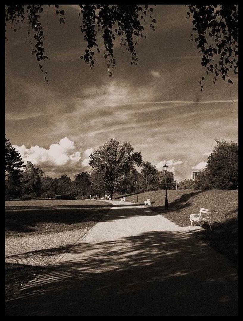 walk with me by