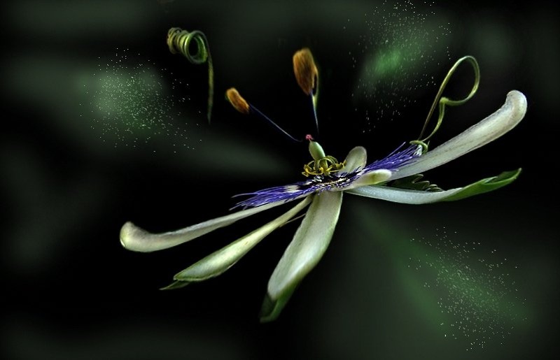NLP ? by milica gorisek