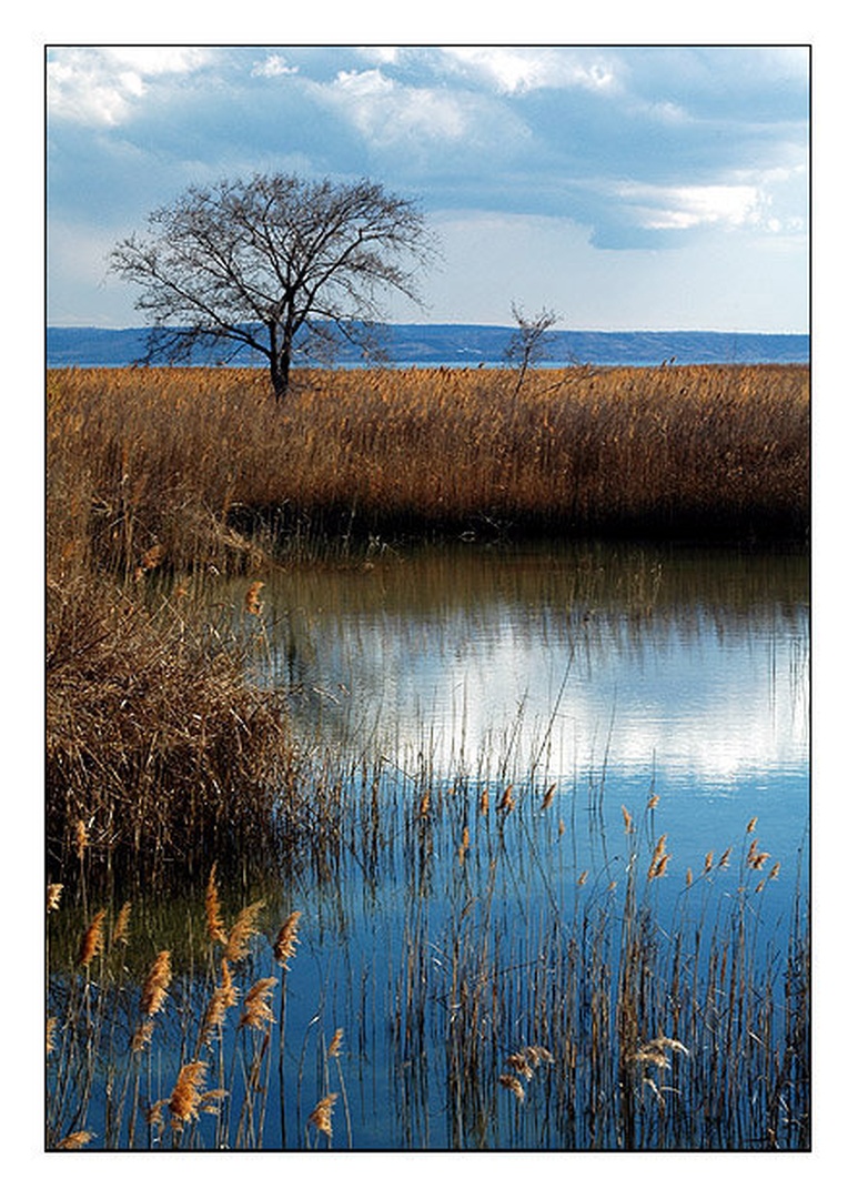Calm by Sandi G.