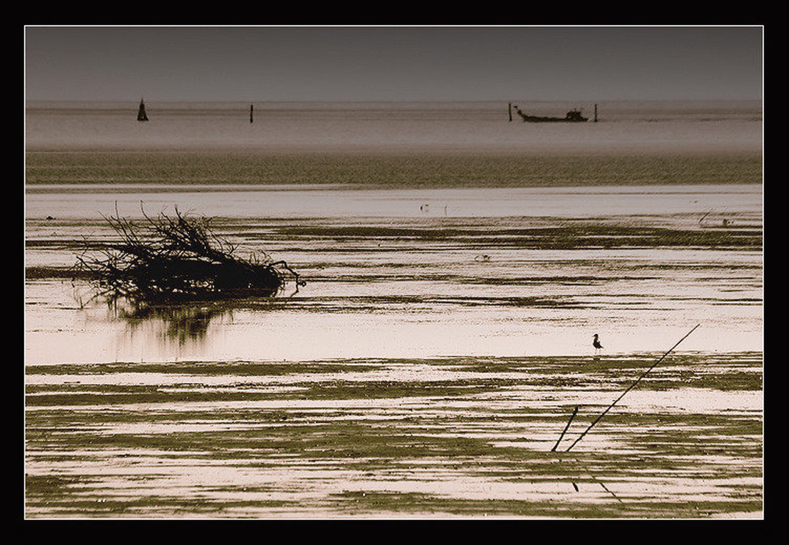 Last Goodbye by Sandi G.