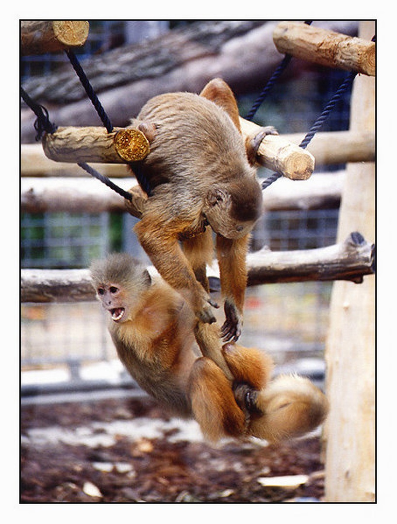 Help ! by Sandi G.