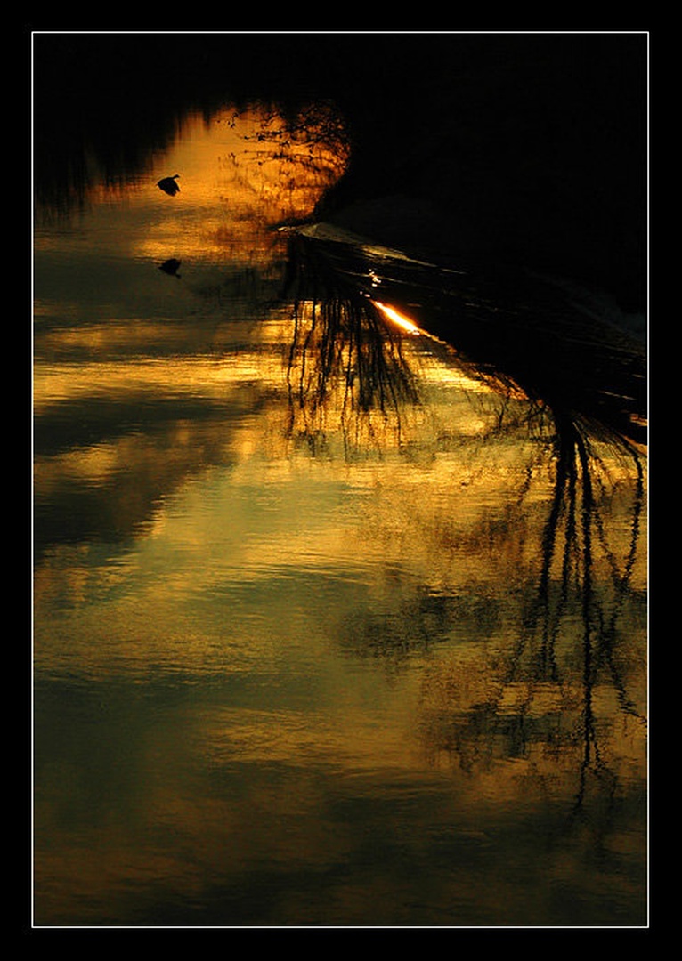 To be free by Sandi G.