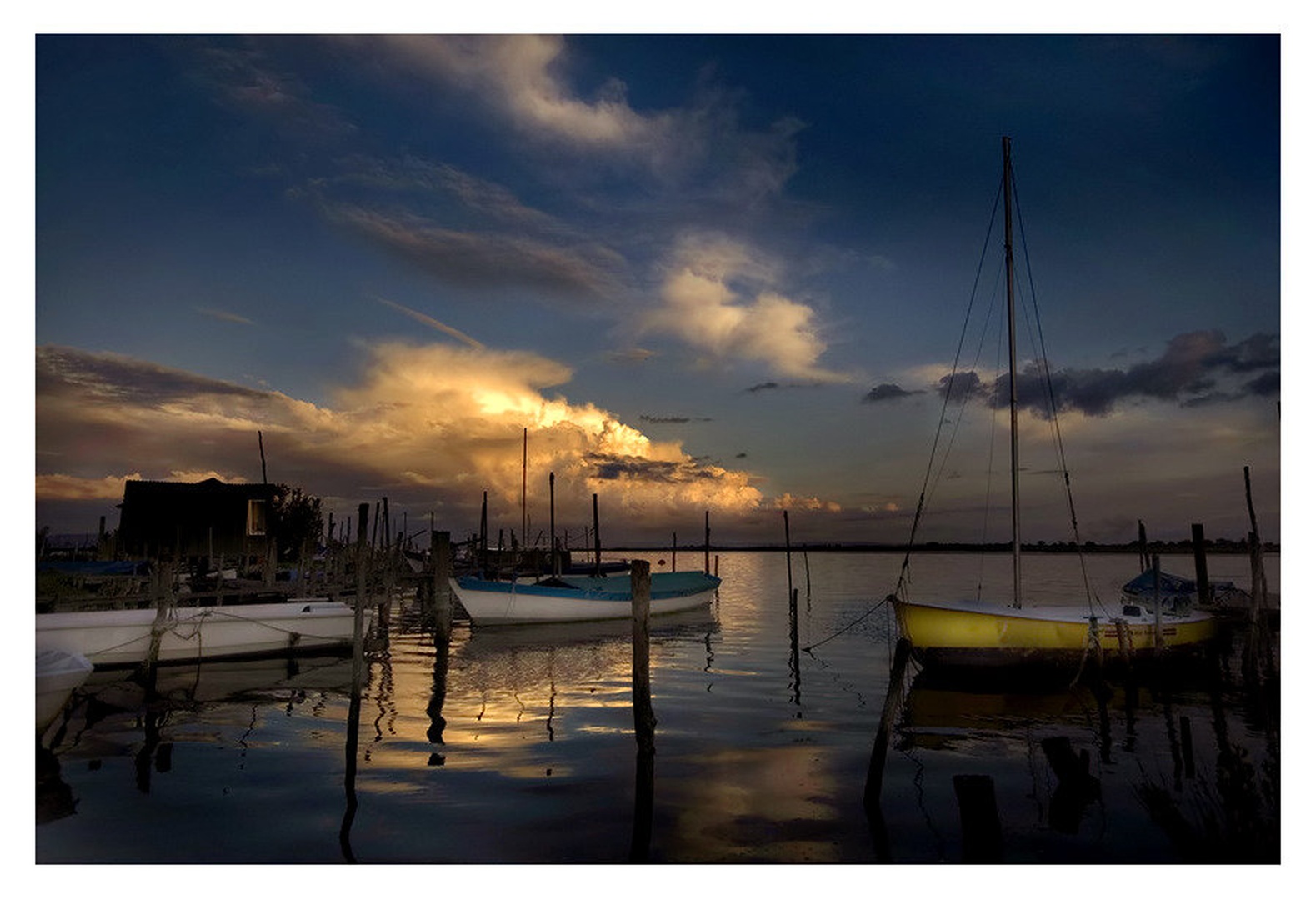 Calm by Sandi G.