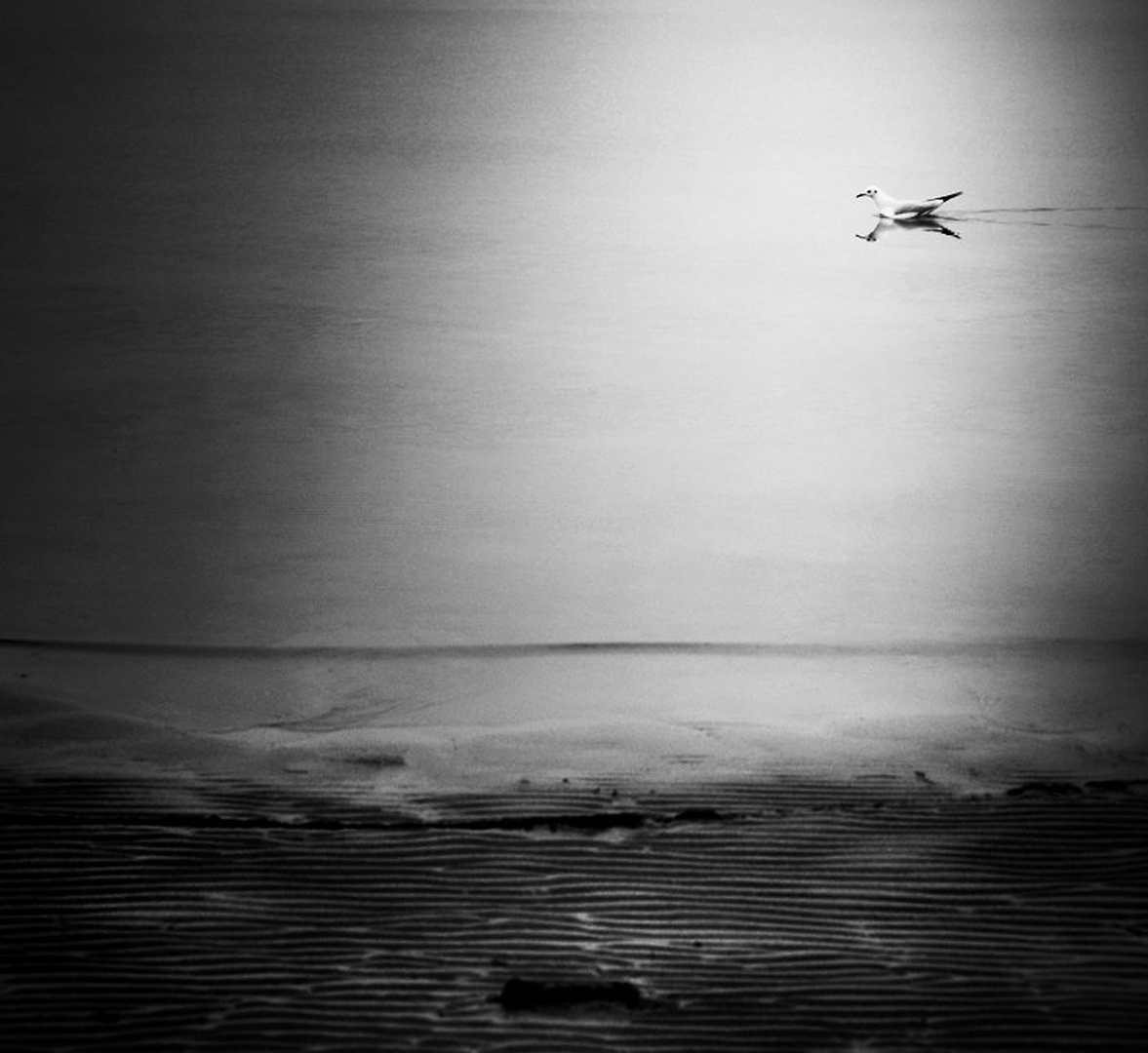 Mimohod by Sandi G.