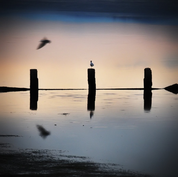 I I I by Sandi G.