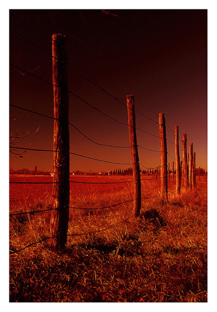 Filt-red by Sandi G.