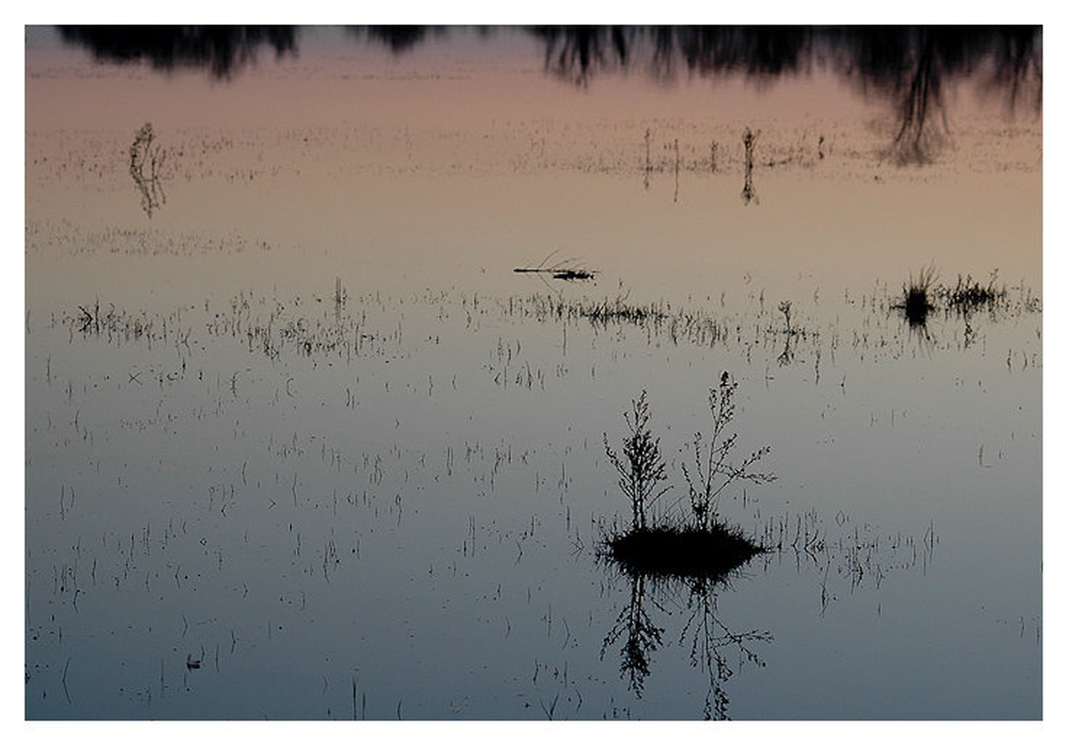 Glash water by Sandi G.
