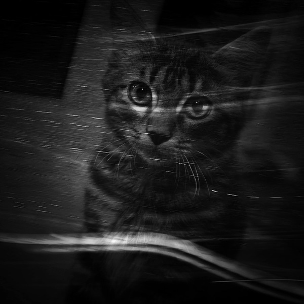 Mew by Sandi G.